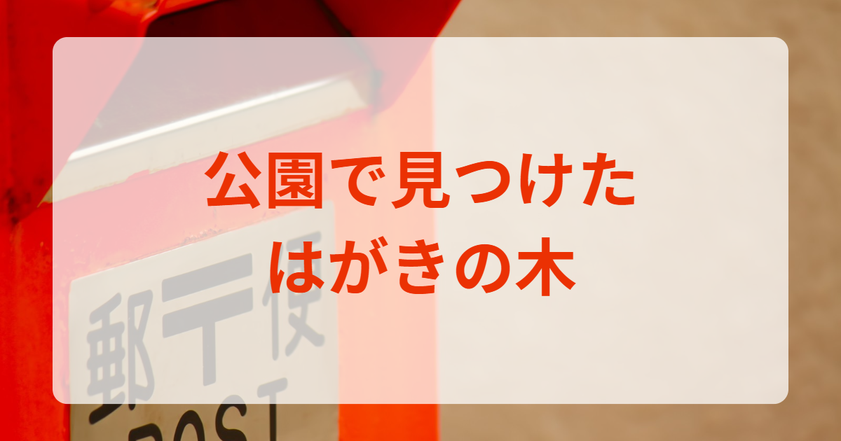 公園　発見　はがき　タラヨウ　郵便　葉っぱ　書ける
